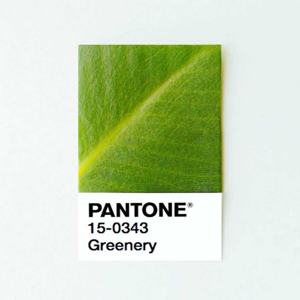 Airbnb и Pantone создали самый зеленый отель в мире
