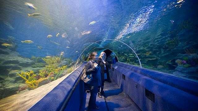 Аквариум TurkuaZoo